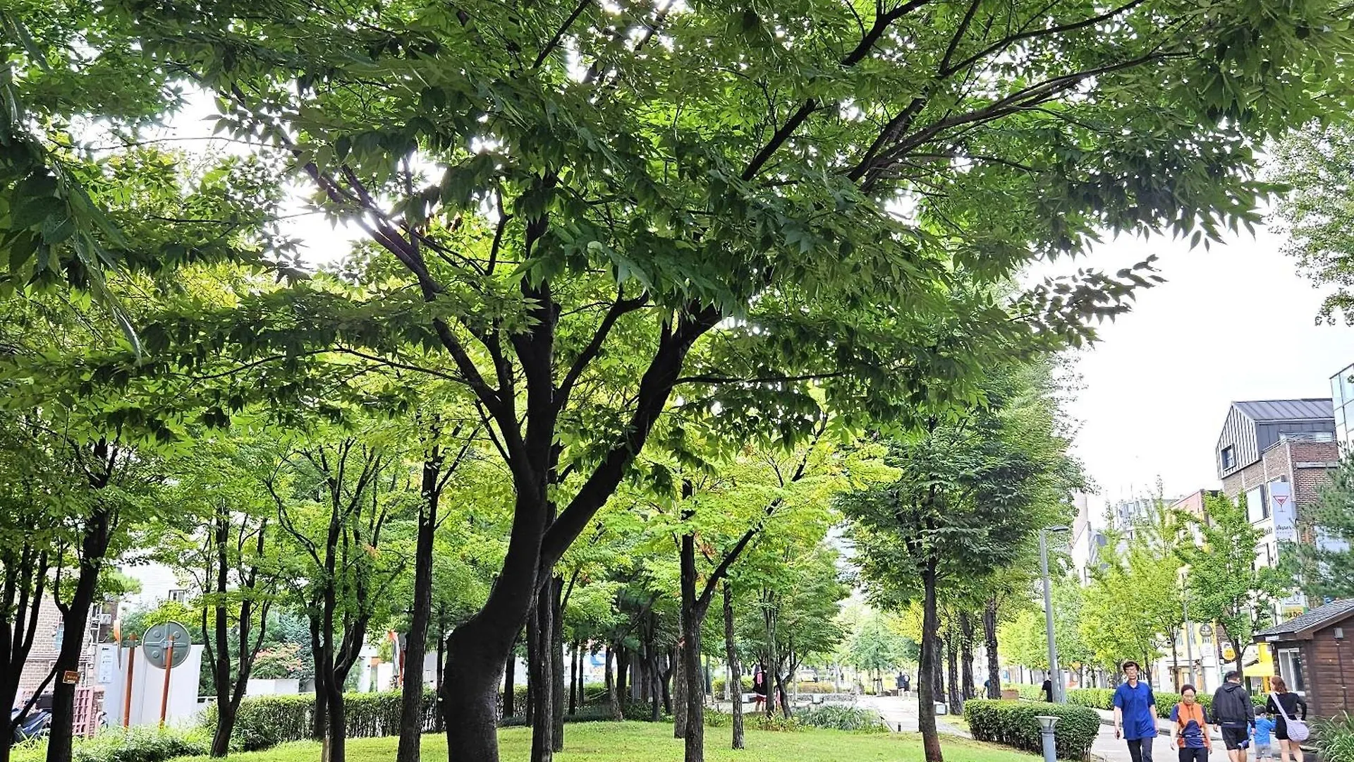 #Hongdae#Terrace House #Family#Friends#Yeontrural Park#New Building Apartment